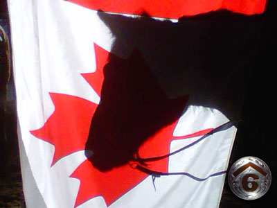 Canada Flag & Kokanee's Shadow