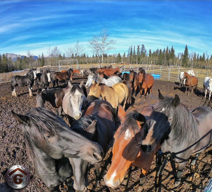 Adventures In Yoga ~ Trail Ride & Yoga!