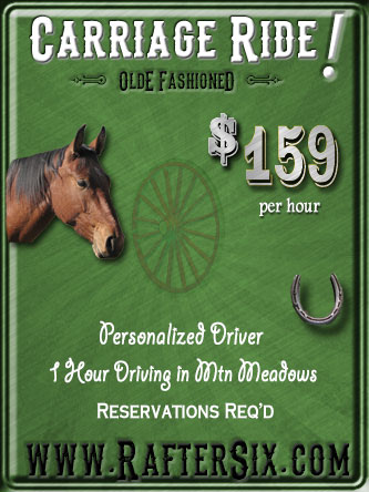 Carriage/Wagon Ride